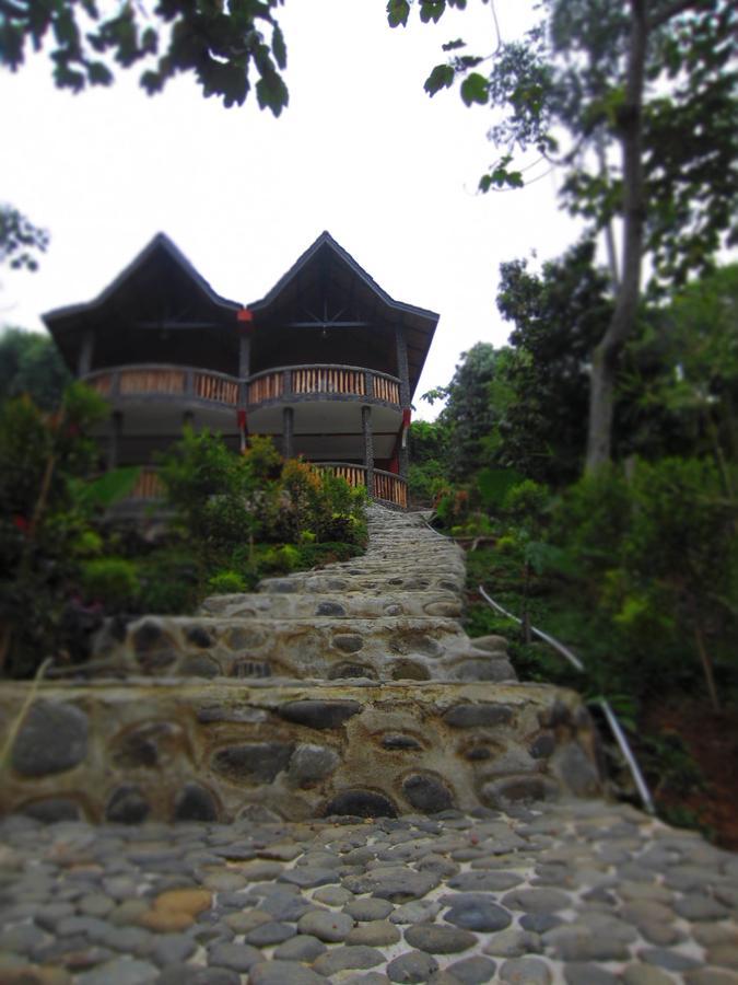 Hotel Orangutan Bukit Lawang Exterior photo