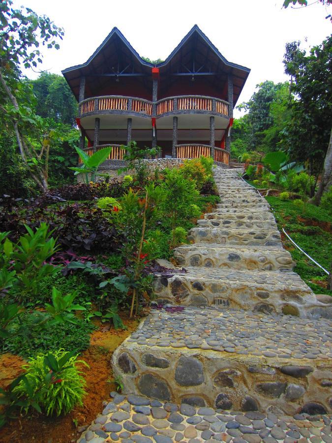 Hotel Orangutan Bukit Lawang Exterior photo