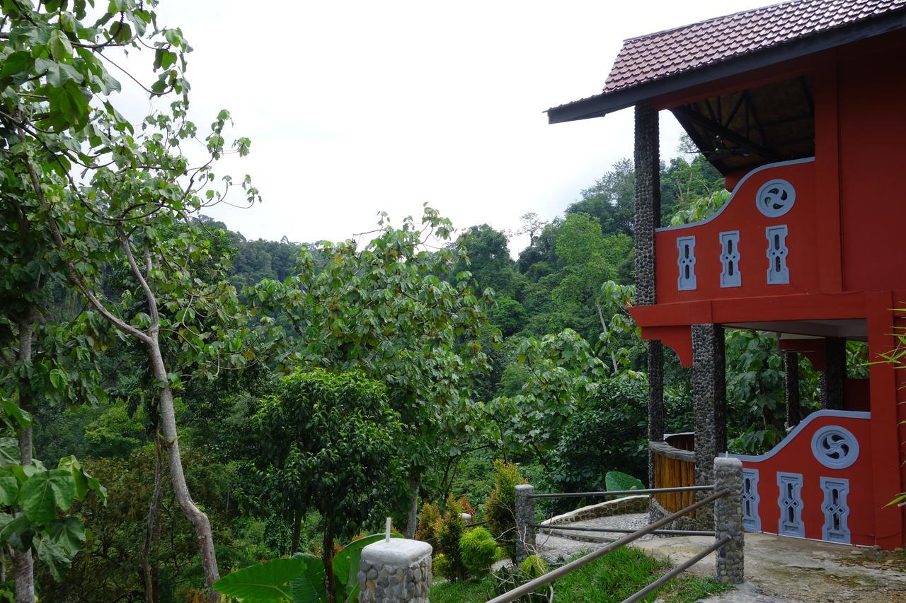 Hotel Orangutan Bukit Lawang Exterior photo