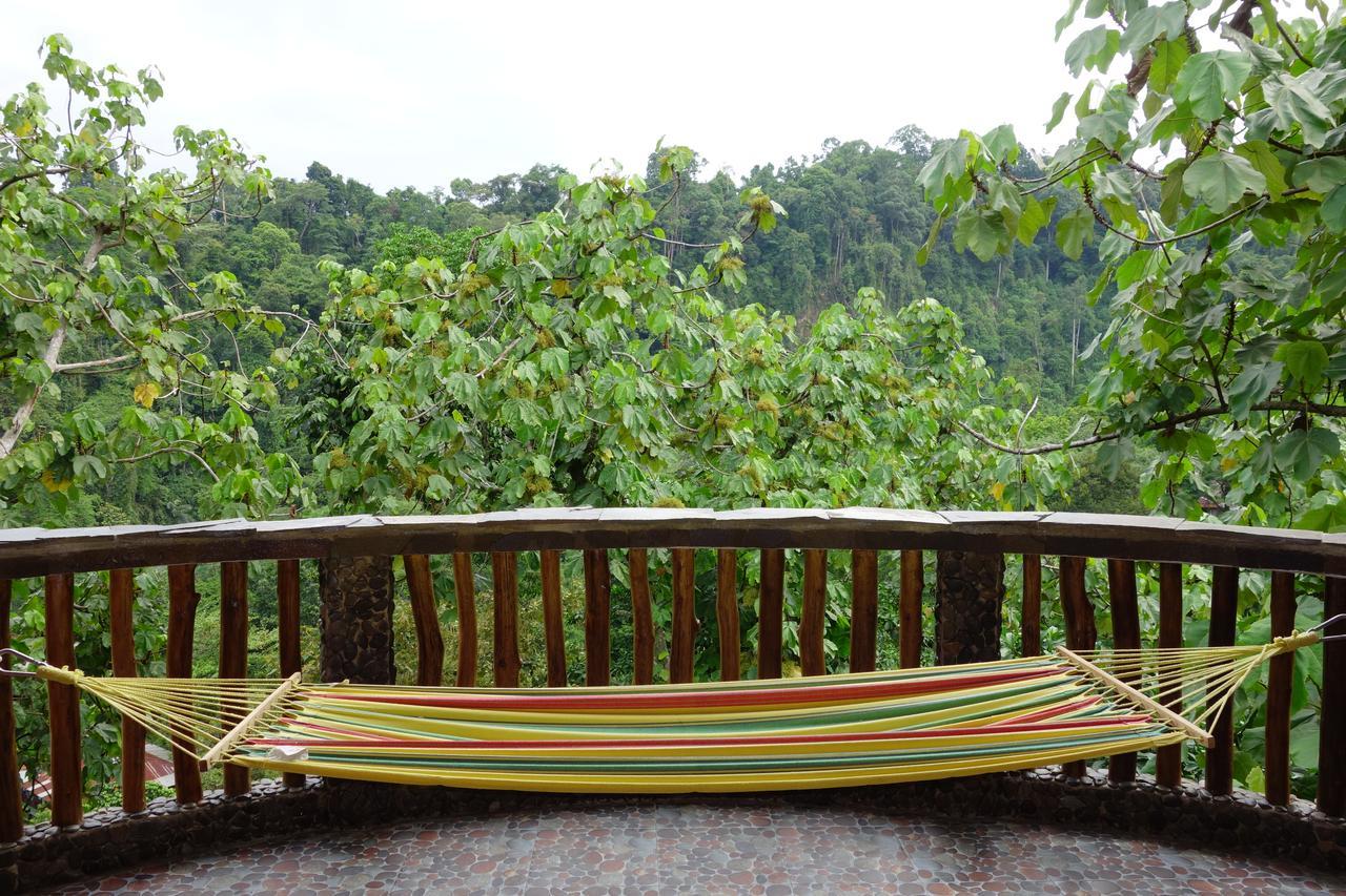 Hotel Orangutan Bukit Lawang Exterior photo