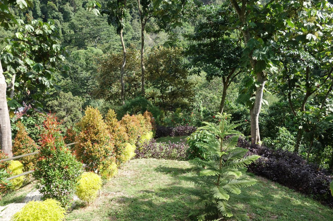 Hotel Orangutan Bukit Lawang Exterior photo