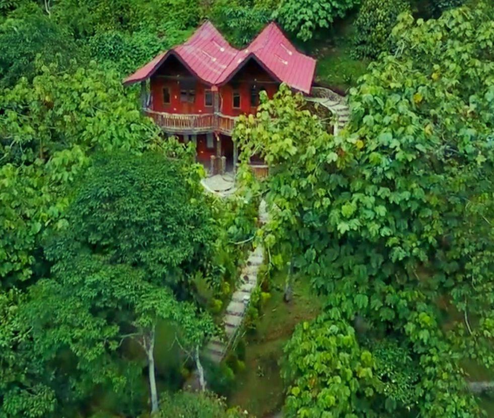 Hotel Orangutan Bukit Lawang Exterior photo